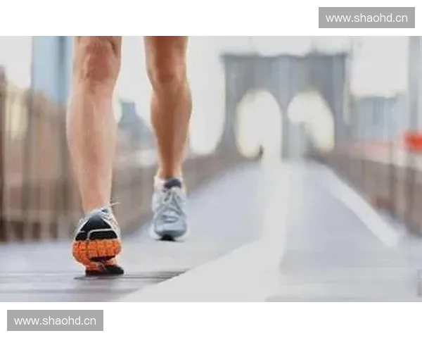 全新装备试穿体验分享 如何选择最适合你的运动装备