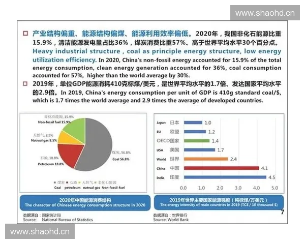 体育项目开发创新路径探讨与实践模式研究：从需求分析到实施策略